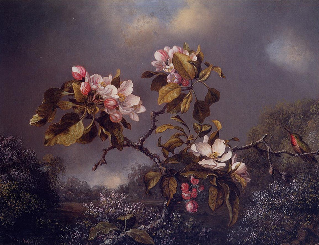 Apple-Blossoms-and-Hummingbird2