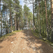 IMG 4585