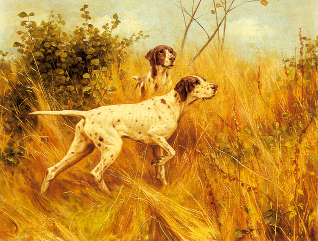 Blinks-Thomas-Two-Pointers-In-A-Landscape