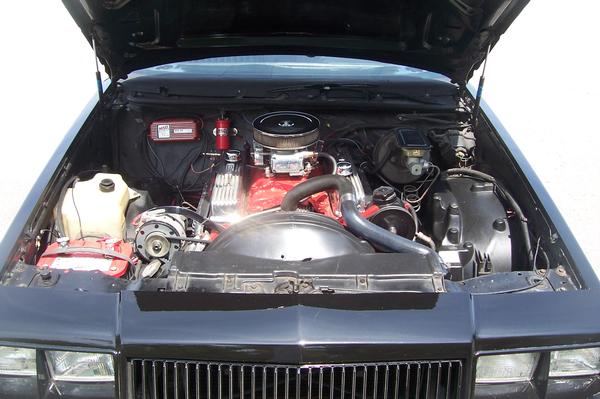 425REGAL 3.jpg