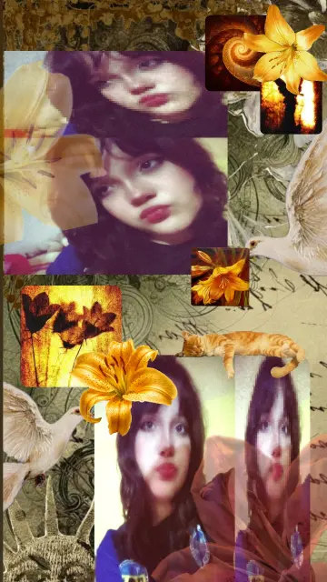 IMG 20260721 120118 194.webp