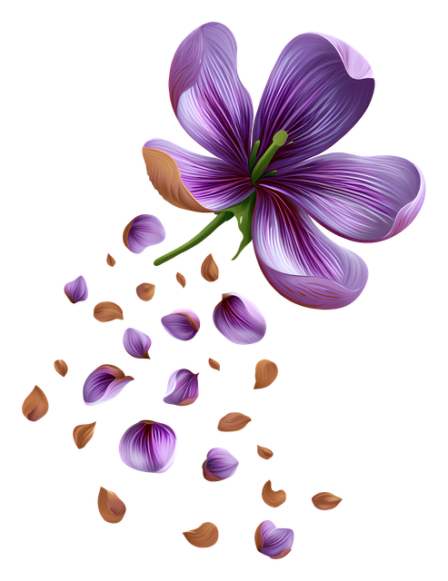 080fd807fb7bf7d5fdafcc7a2ddfdf72.png