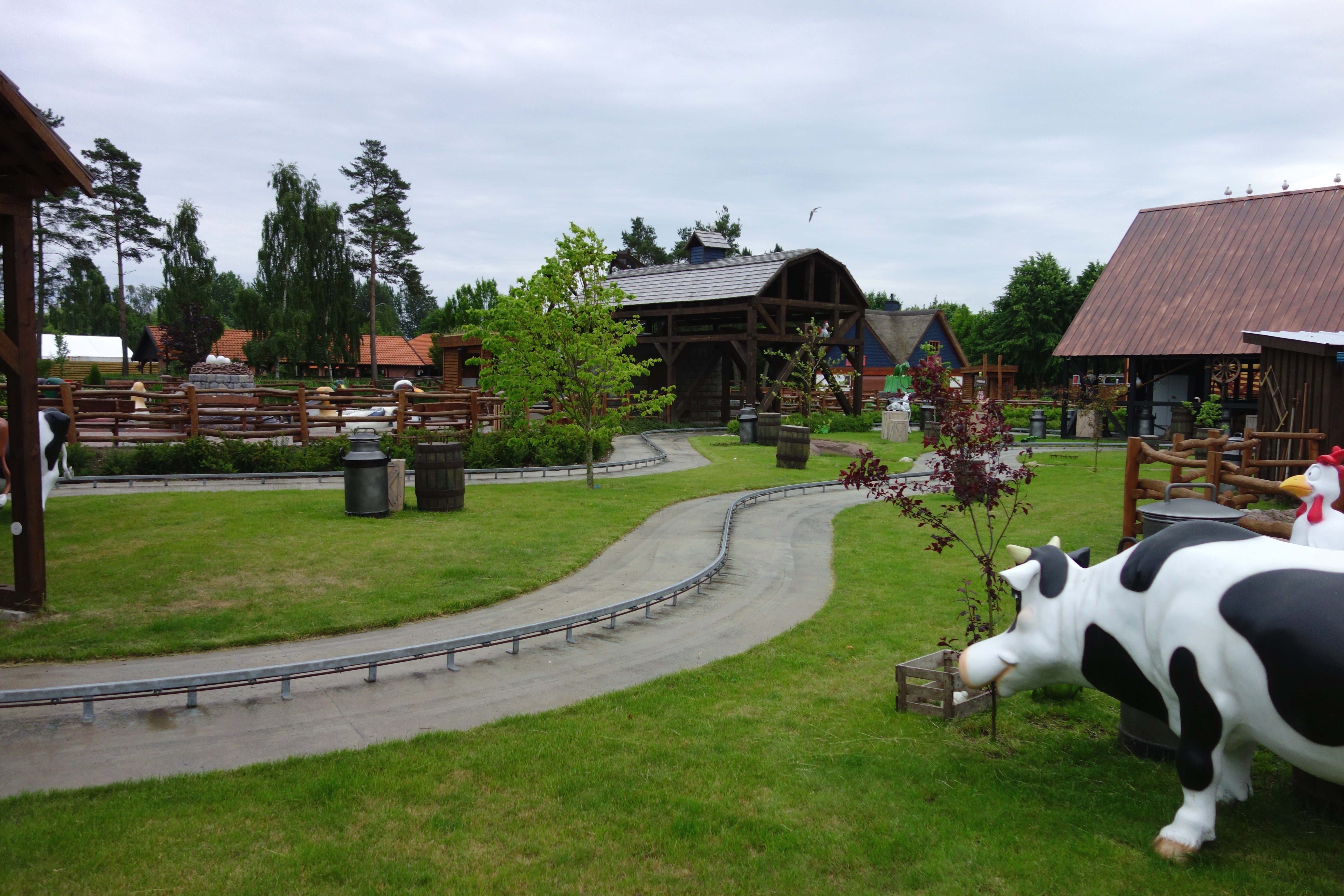 DSC10058