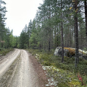 IMG 4983