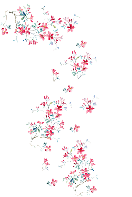 01.png