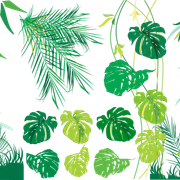 shutterstock 17013784