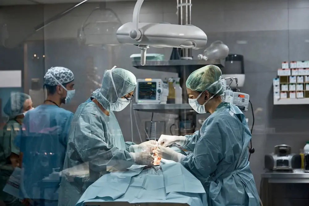 Emergency Surgery for Dog Bloat: Costs and Expectations