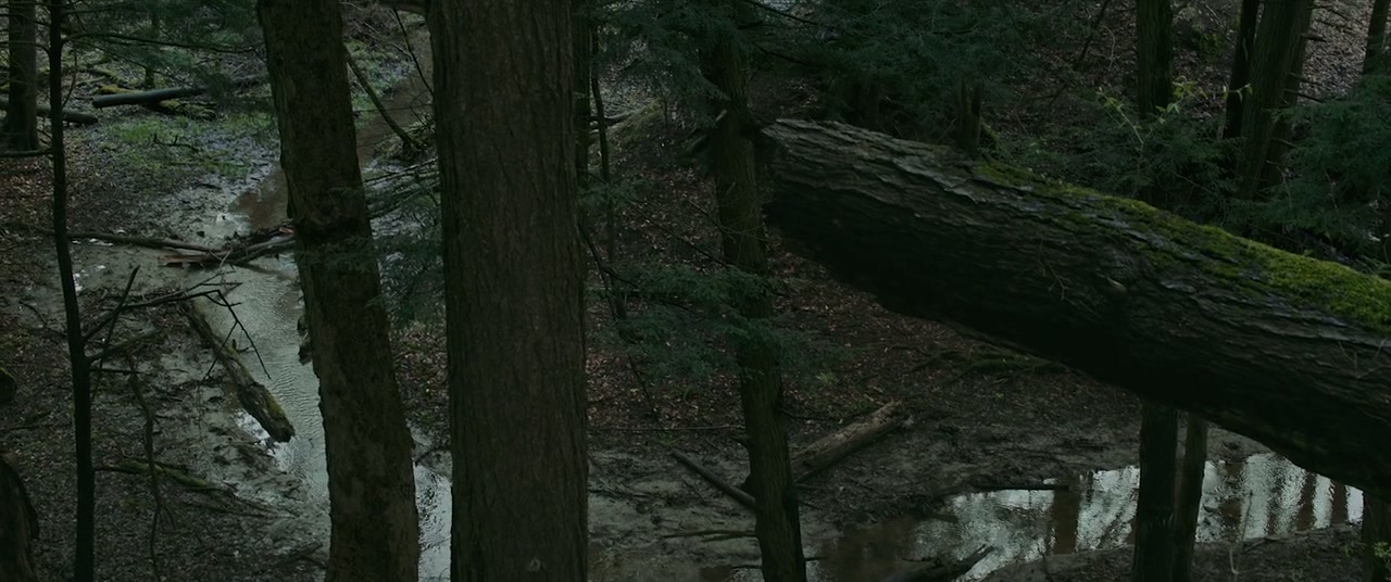 Out Come the Wolves Screenshot