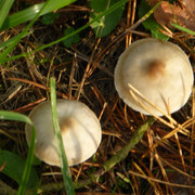 P1130646