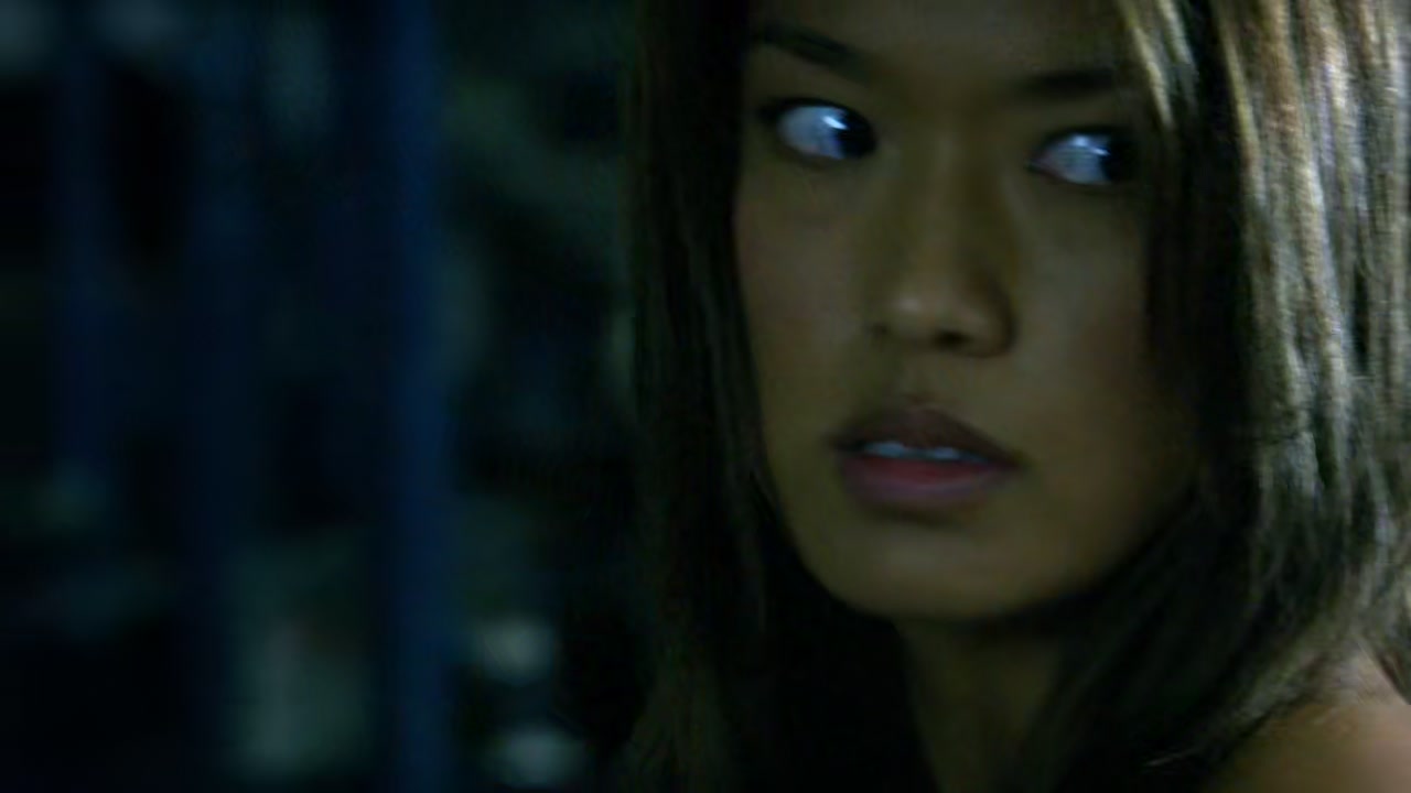 Hawaii Five-0 Screenshot
