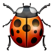 lady-beetle-1f41e