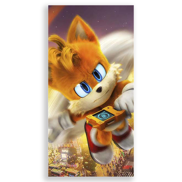 31001562-Sonic