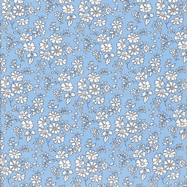 Capel C40.jpg