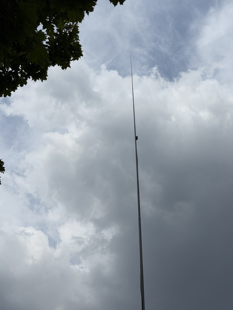 IMG 7316.jpg
