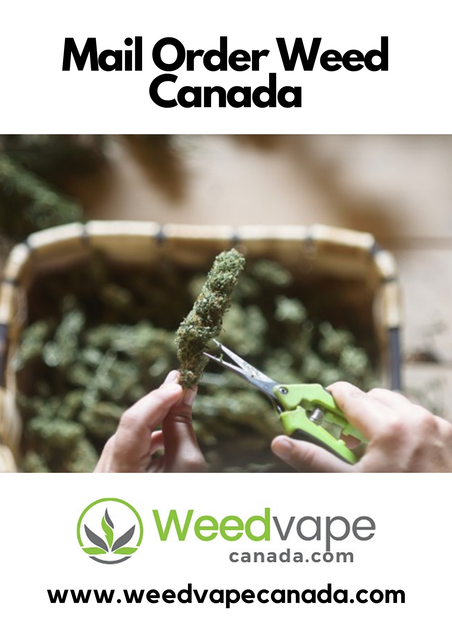 Main-Order-Weed-Canada-24.png
