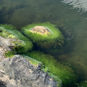 IMG-2947