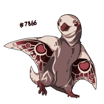Pet Image
