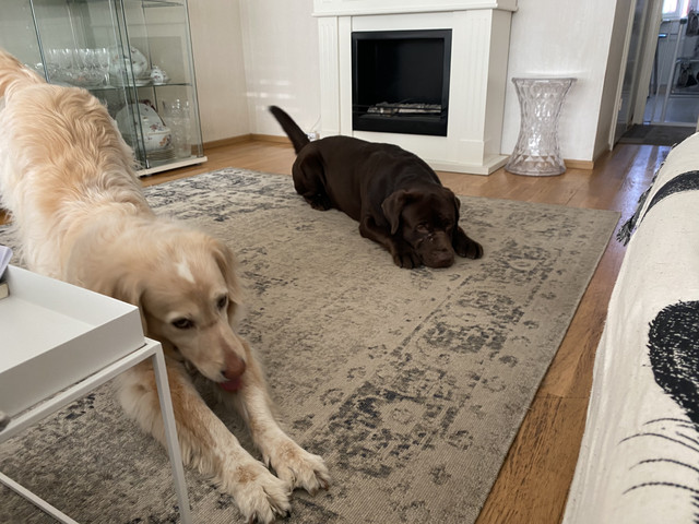 69547-C3-E-CABE-4029-A976-4-E31-F1-E508-