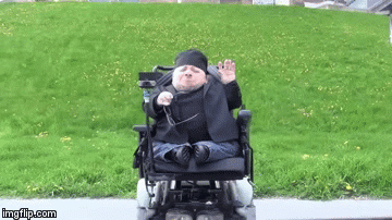 1gptbi.gif