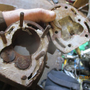 IMG-8377