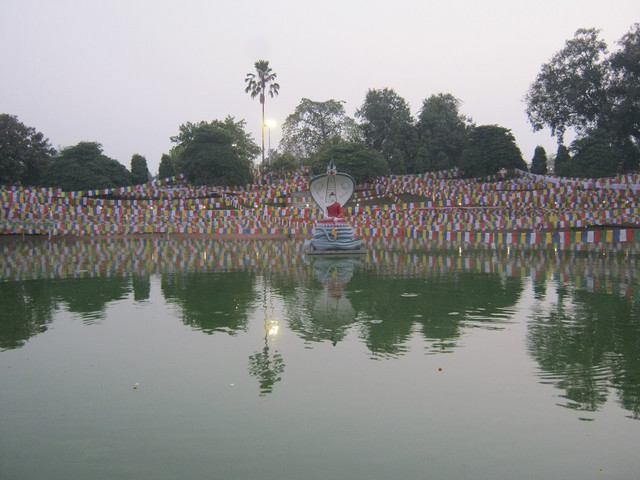 IMG-0975.jpg