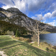 IMG-3444