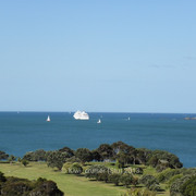 P1198494