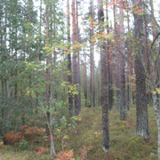 IMG-9691