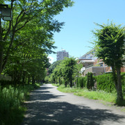 P1340017