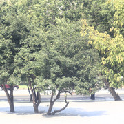 DSC5079