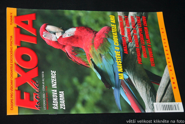 IMG-7785