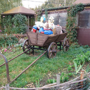 DSC-8778