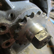 IMG-8298