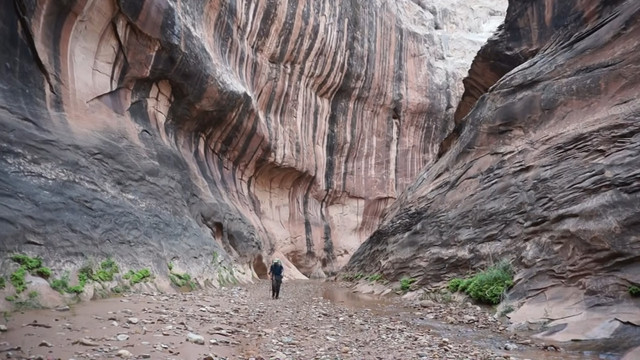 738-utah