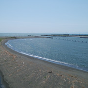 DSC-0069
