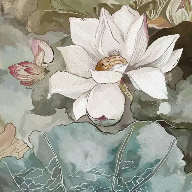 500x260-blossom2-4.webp