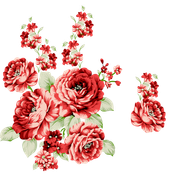 7bd38bb9a66c3e78bc8908dc5149fa48