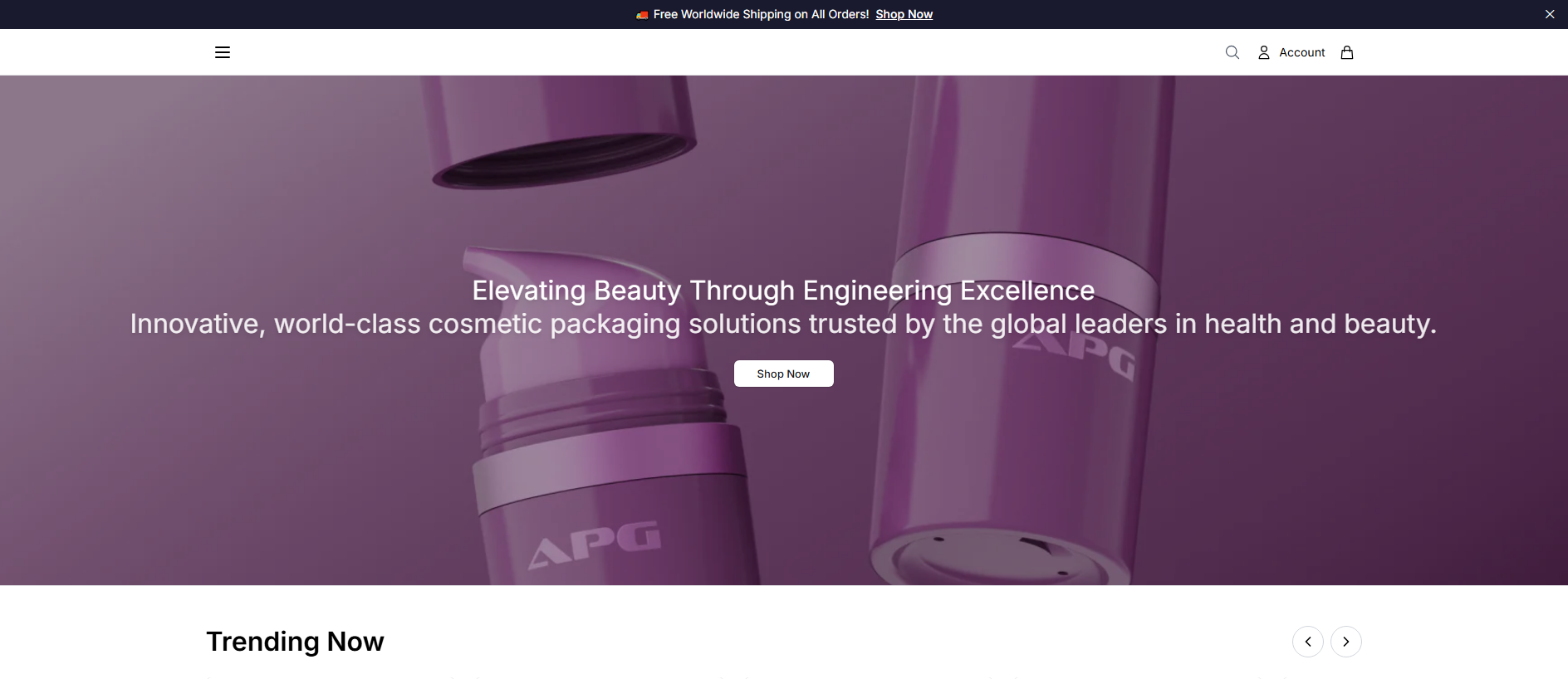 Stored capture of apgpackagingbeauty.shop