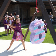 IMG-9557