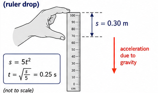 Ruler drop reaction time measurement