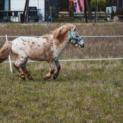 DSC01906