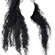 IMG 6261.png