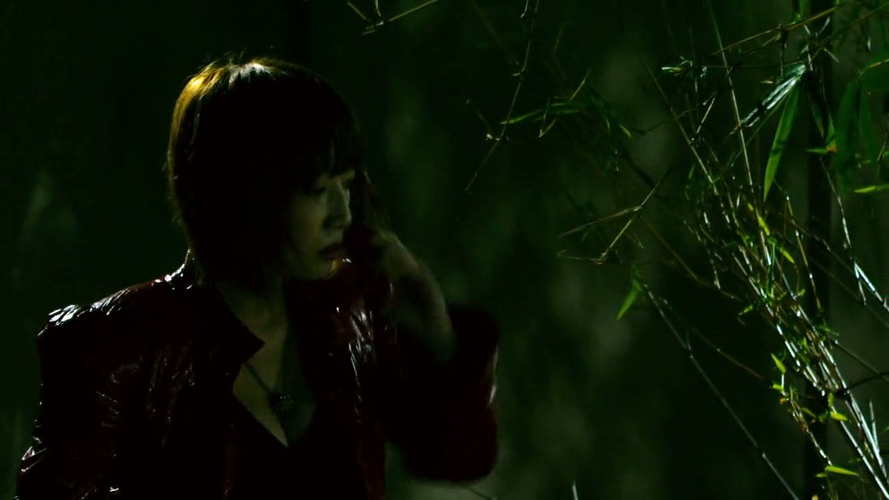 The Vanquisher Screenshot