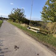 IMG-0822