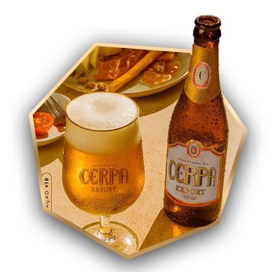 Cerpa Export — Get in Touch