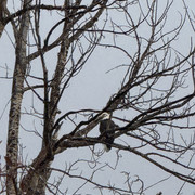 IMG-9044