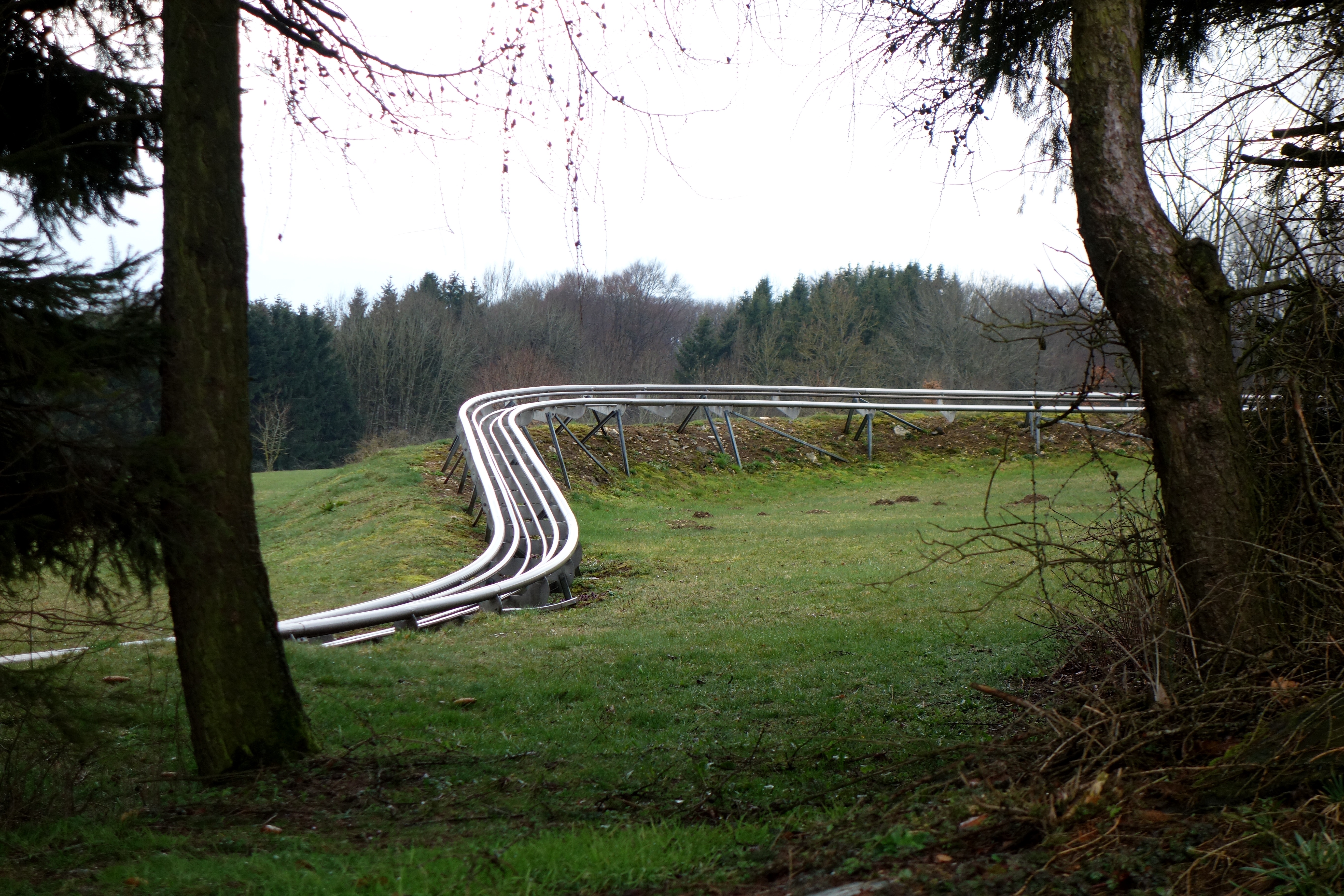DSC05867