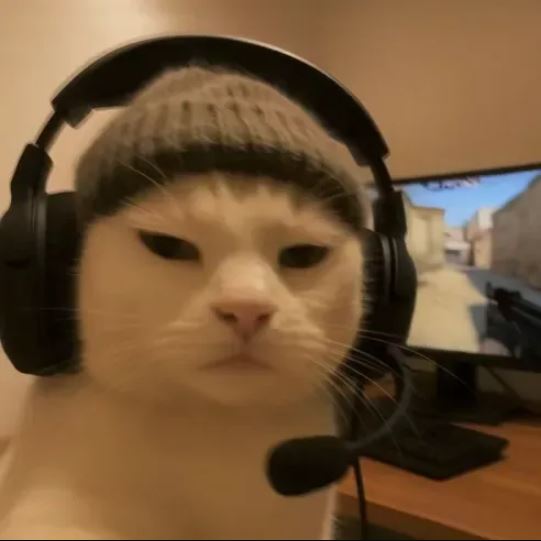 Capture.jpg