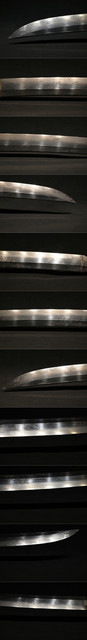 DSC4361