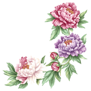 ef9dcafaf6c9256f99b90c4eea186f77